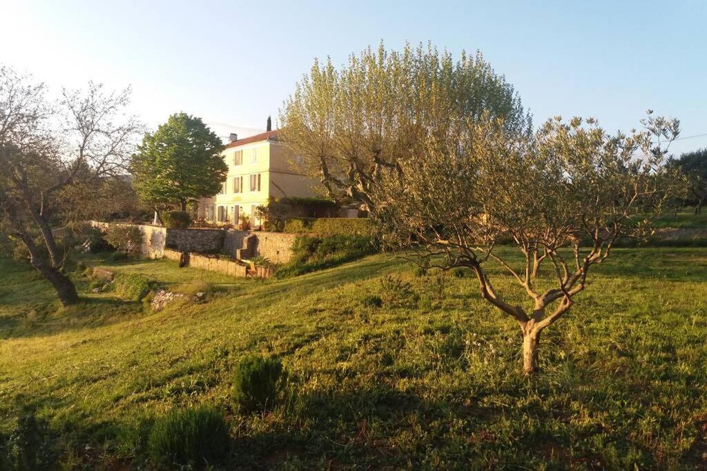 Villa Bastide Au Milieu Des Vignes Et Des Oliviers Aups Exterior foto