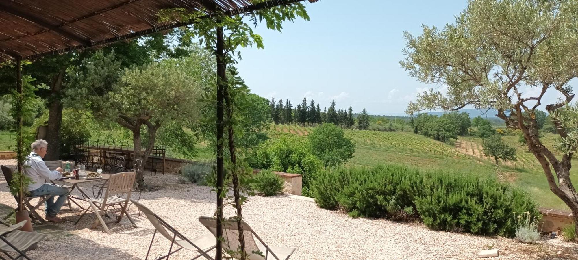 Villa Bastide Au Milieu Des Vignes Et Des Oliviers Aups Exterior foto